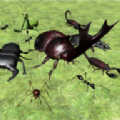 Bug Battle Simulator 3D